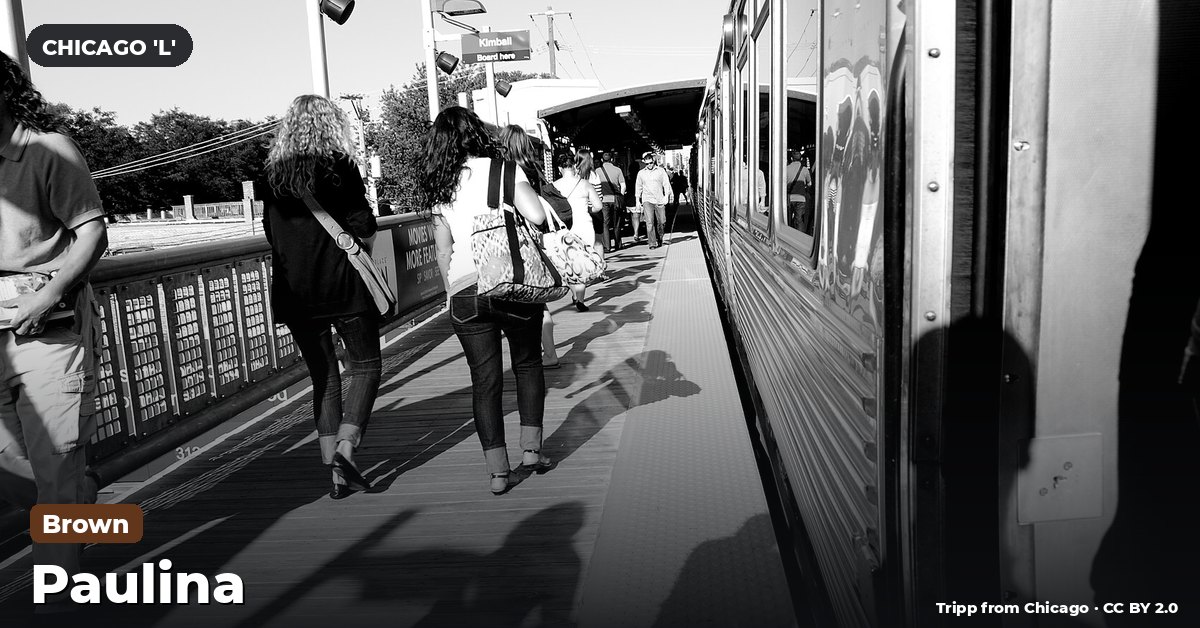 Paulina station on the Brown Line of the Chicago 'L' (CTA), Chicago